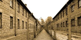 Czyj ślub odbył się w obozie w Auschwitz?